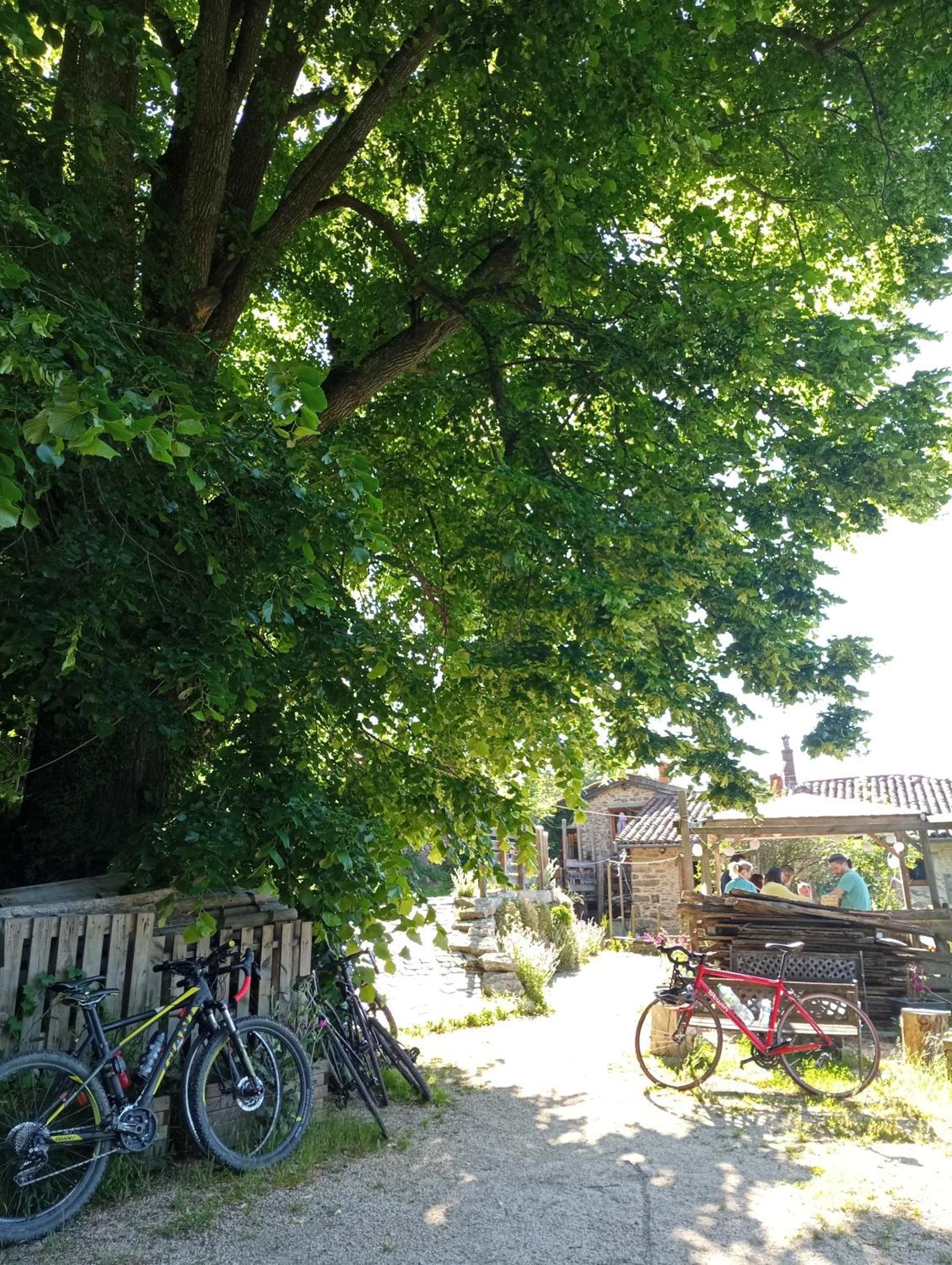 Hébergement de vacances Des Esselards Yzeron